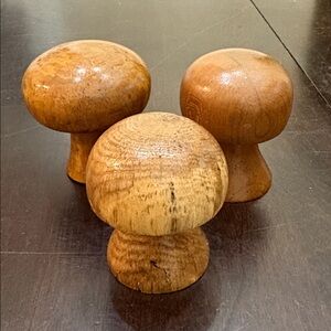 Hand Crafted Wooden Mushroom Set